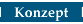Konzept